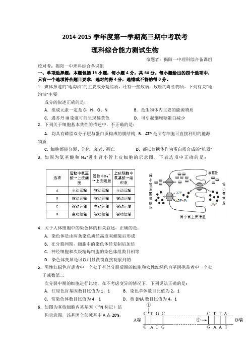 广东省揭阳一中2015届高三上学期期中考试理综生物