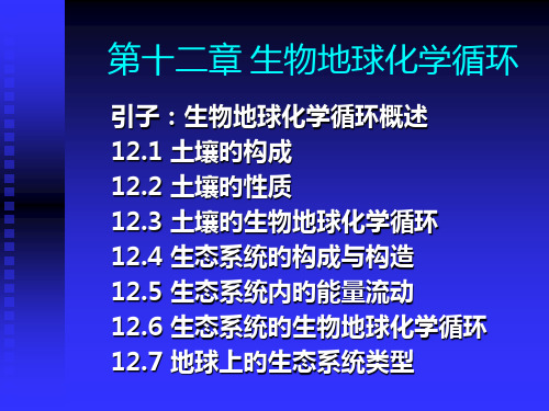 生物地球化学循环省名师优质课赛课获奖课件市赛课一等奖课件