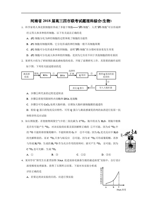 最新-河南省2018届高三四市联考试题理科综合(生物) 精