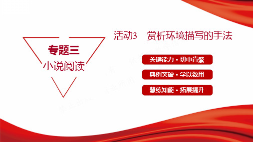 2022年高考语文总复习专题三小说阅读 第三节考点突破 第2讲分析环境描写 活动3赏析环境描写的手法