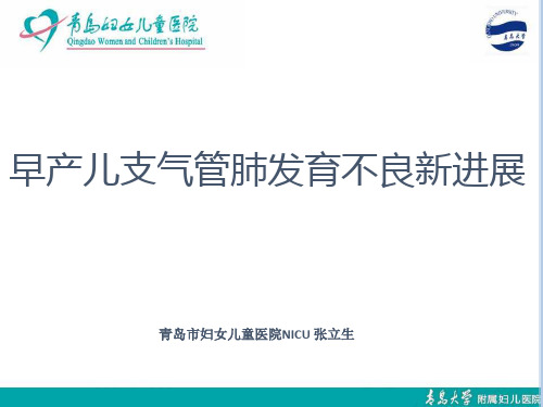 早产儿支气管肺发育不良新进展PPT课件