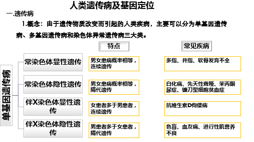 人类遗传病及基因定位