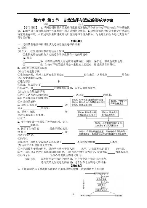 【高中生物】自然选择与适应性的形成 导学案-高一生物人教版必修二