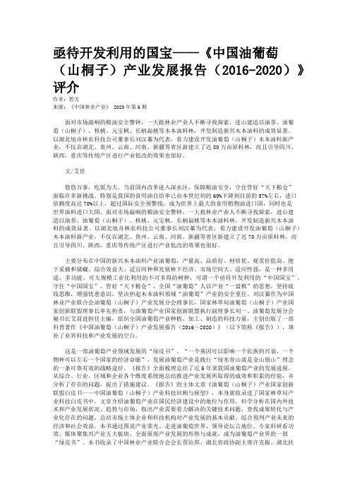 亟待开发利用的国宝——《中国油葡萄（山桐子）产业发展报告（2016-2020）》评介