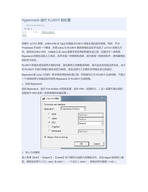 Hypermesh进行FLUENT前处理
