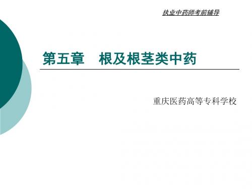 5-3根与根茎类中药根及根茎科属总结.