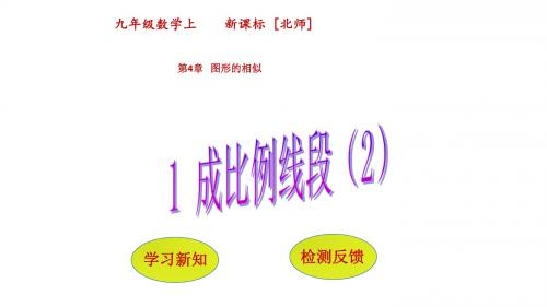 北师大版数学九年级上册课件：4.1成比例线段(2)