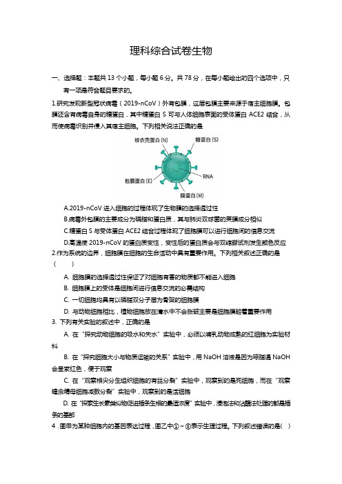 西藏自治区拉萨市拉萨中学2020届高三第八次月考理综生物试卷(含答案)