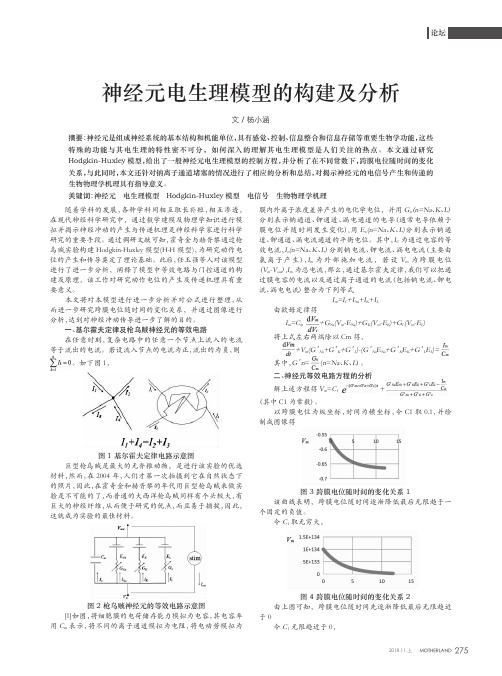 神经元电生理模型的构建及分析