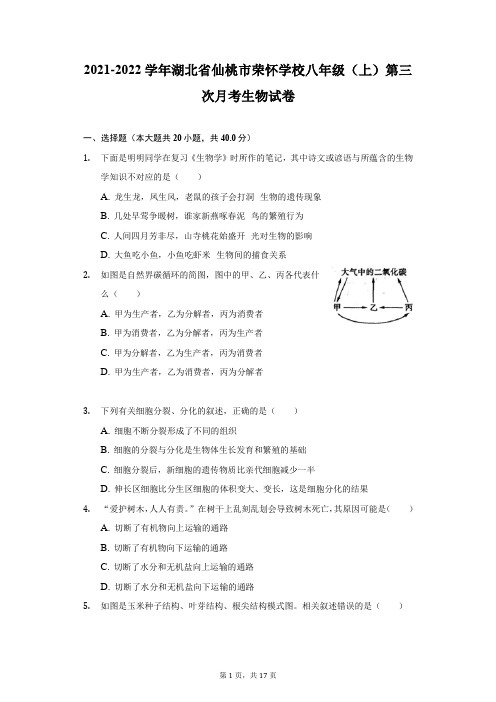 2021-2022学年湖北省仙桃市荣怀学校八年级(上)第三次月考生物试卷(附答案详解)