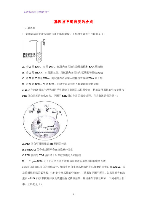 人教版(新教材)高中生物必修2练习24：4 1基因指导蛋白质的合成 课时作业