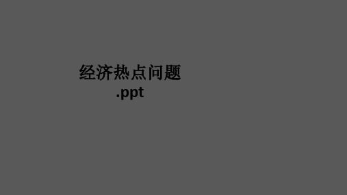 经济热点问题.ppt课件