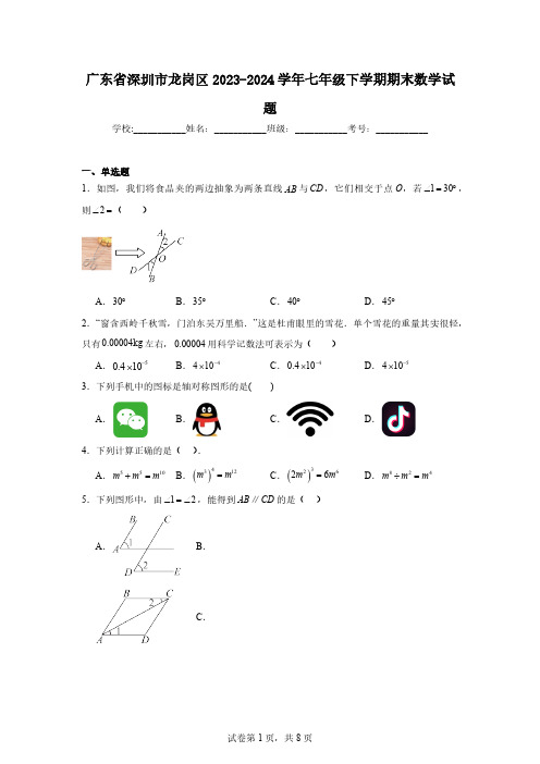 广东省深圳市龙岗区2023-2024学年七年级下学期期末数学试题