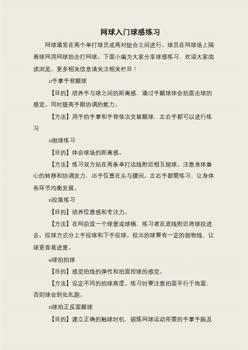 网球入门球感练习