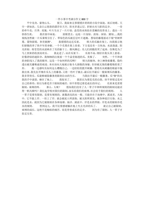 一件小事中考满分作文800字