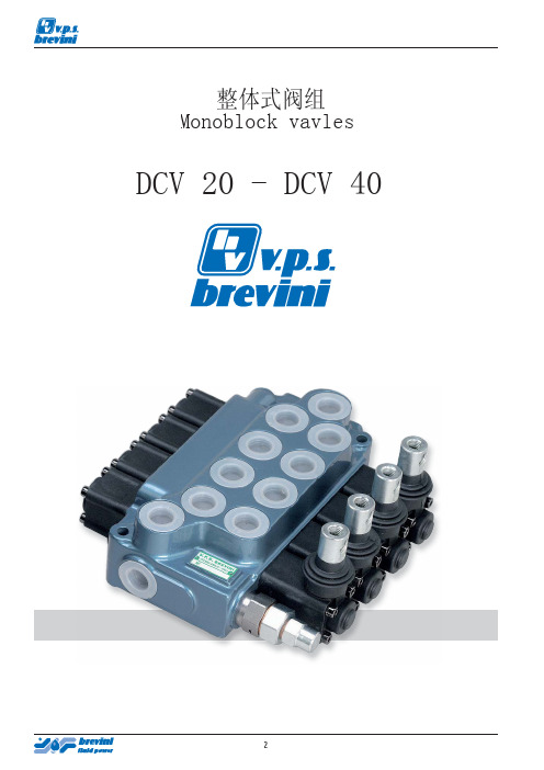 VPS 布雷维尼液压整体式多路阀