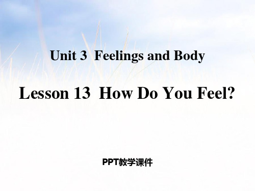 Lesson 13  How Do You Feel精品课件