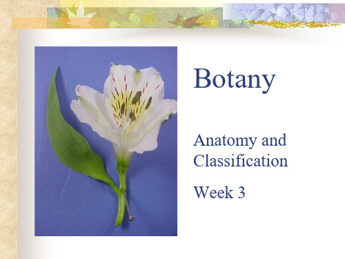 植物学及园艺学英文boanyandhoriculure3