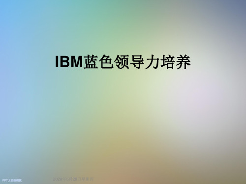 IBM蓝色领导力培养