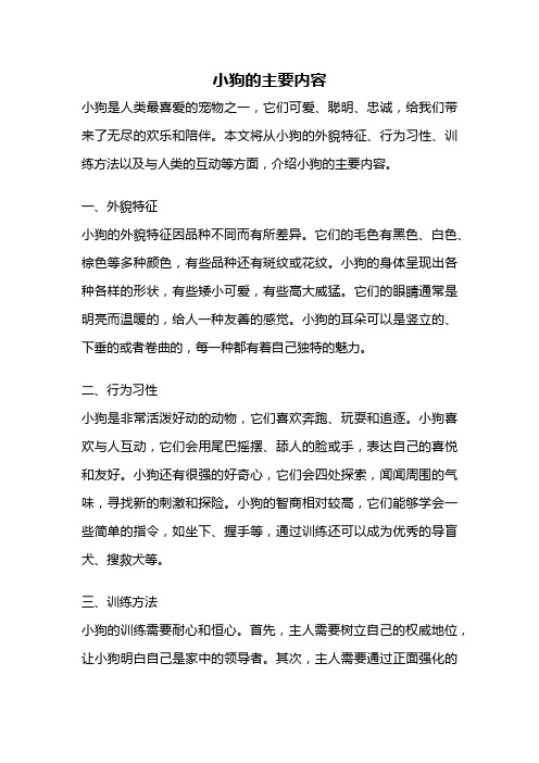 小狗的主要内容