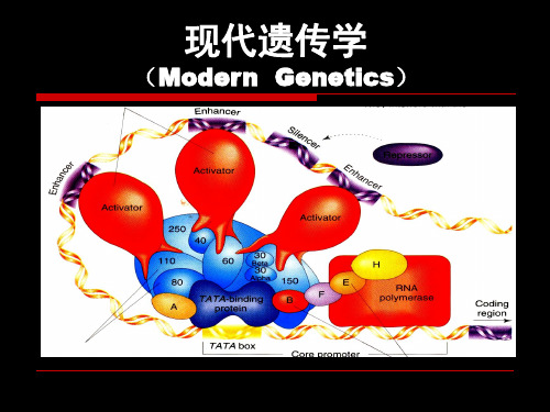 遗传学第一章 经典遗传学的诞生