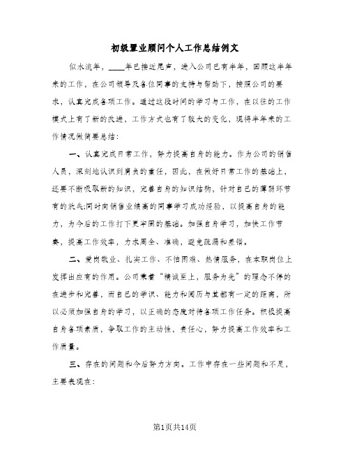 初级置业顾问个人工作总结例文(五篇)