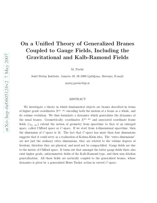 On a Unified Theory of Generalized Branes Coupled to Gauge Fields, Including the Gravitatio