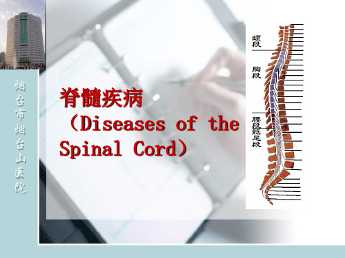 2017-脊髓疾病