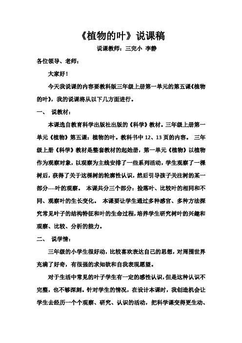 植物的叶 李静