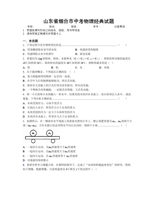 最新山东省烟台市中考物理经典试题及解析