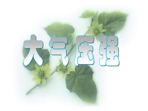 华东师大版八年级科学上册 2.3大气压强