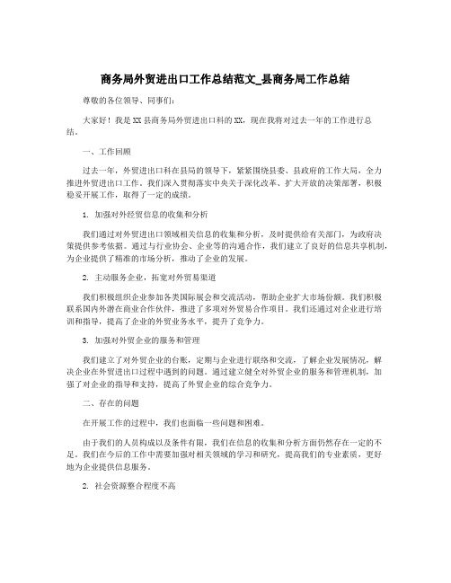 商务局外贸进出口工作总结范文_县商务局工作总结