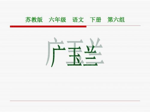 小学六年级下学期语文《广玉兰》PPT课件