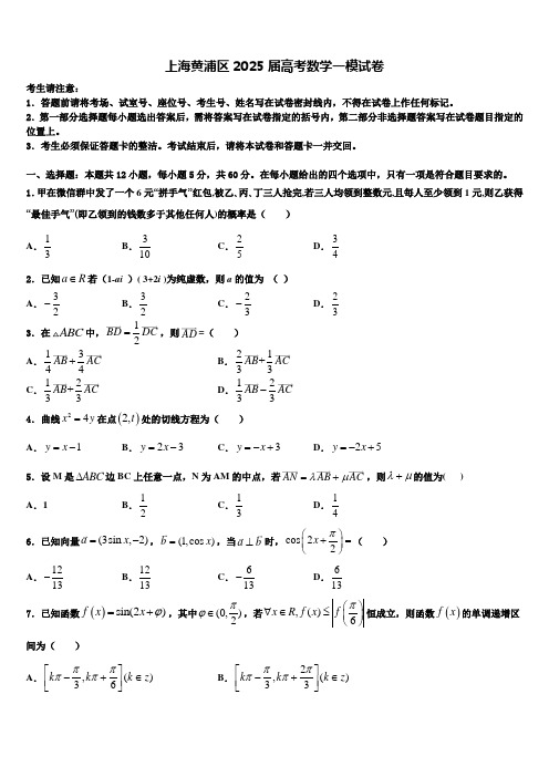 上海黄浦区2025届高考数学一模试卷含解析