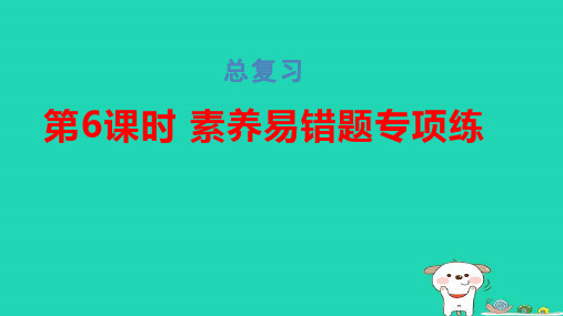 一年级数学下册总复习第6课时素养易错题专项练习题pptx课件北师大版