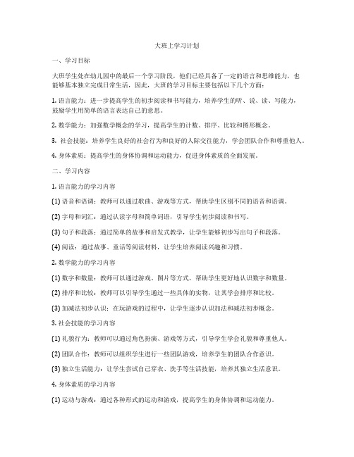 大班上学习计划