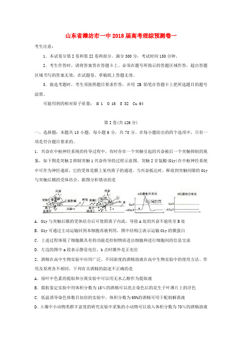 山东省潍坊市一中2018届高考理综预测卷一