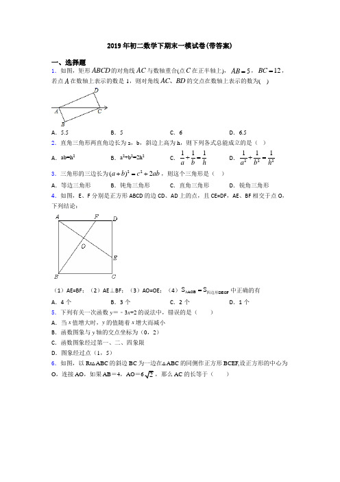 2019年初二数学下期末一模试卷(带答案)