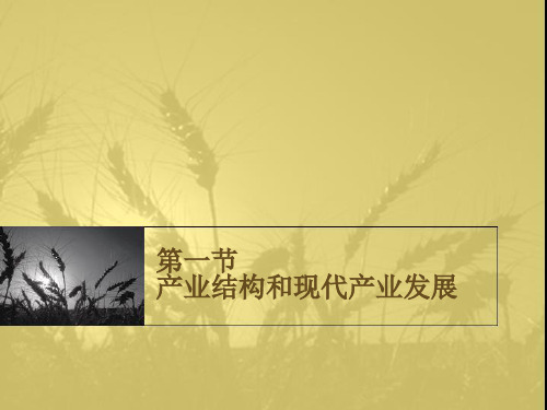 我国社会主义三大产业