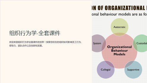 组织行为学-课件