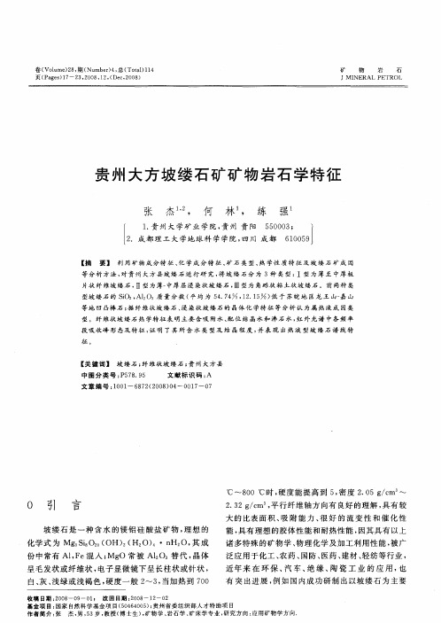 贵州大方坡缕石矿矿物岩石学特征