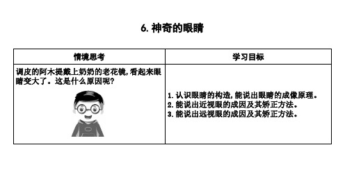 4.6 神奇的眼睛 课件 -2024-2025学年物理教科版八年级上册