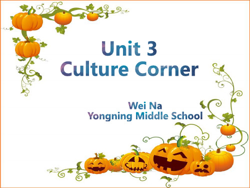 北师大版高中英语必修一 unit 3 culture corner reading 课件 (共35张