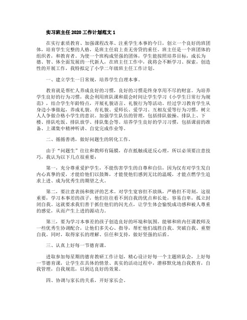 实习班主任2020工作计划范文5篇大全