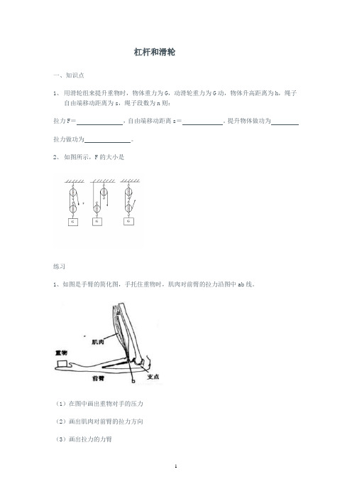 简单机械杠杆和滑轮典型练习