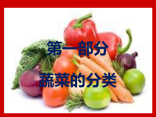 蔬菜种植PPT