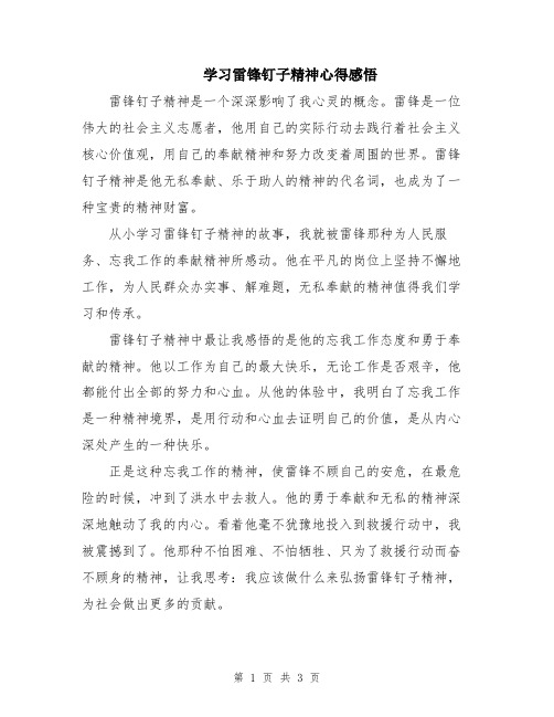 学习雷锋钉子精神心得感悟