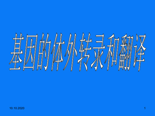 基因的体外转录和翻译PPT演示文稿