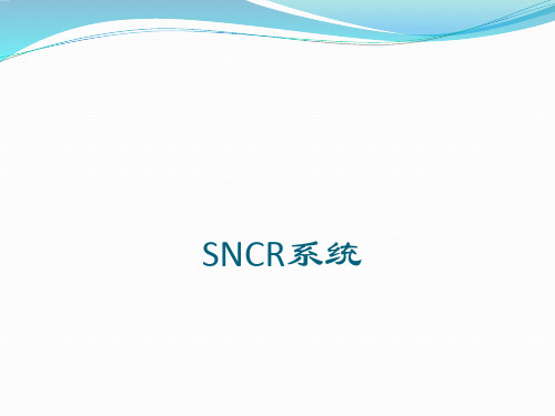 锅炉烟气脱硝SNCR系统