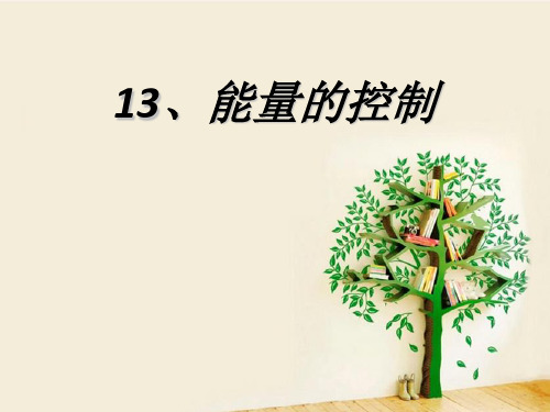 第13课 能量的控制.ppt